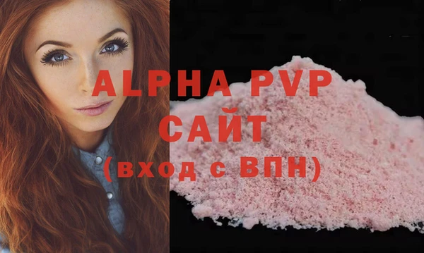 индика Абаза