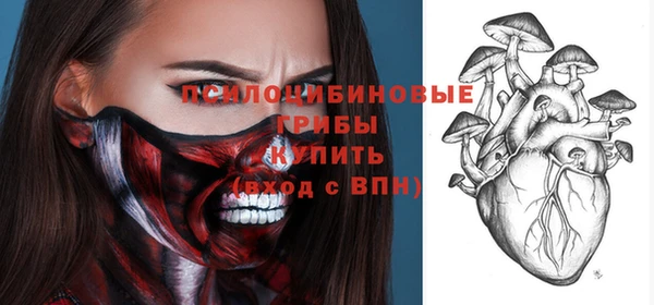 индика Абаза