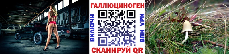 Псилоцибиновые грибы Psilocybe  blacksprut онион  Среднеколымск 